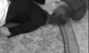 بضع كتابة افلام خلاعيه سكسيه بوف الأفلام الإباحية على كاميرا الفيديو فيديو إباحي 