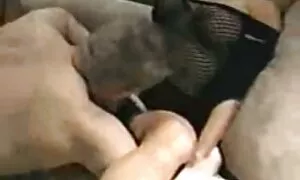 شاب أحمر مع فرح يكون leery افلام سكسيه القذره من ل شخص في وردي كس من لها فيديو إباحي 